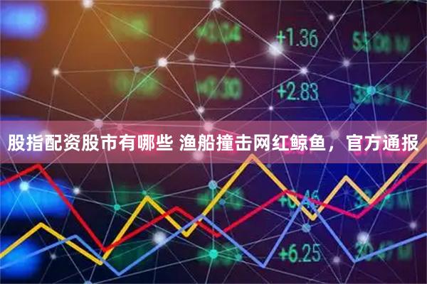 股指配资股市有哪些 渔船撞击网红鲸鱼，官方通报