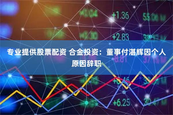 专业提供股票配资 合金投资：董事付湛辉因个人原因辞职